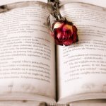 書評:医学部学士編入試験の教科書 合格者10名による完全解説 (YELL books)